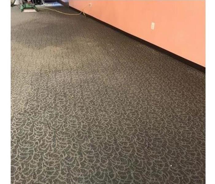 Wet Carpet 